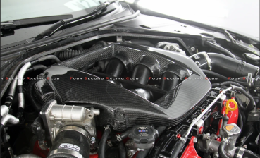 Preview: carbon fibre OEM style engine cover